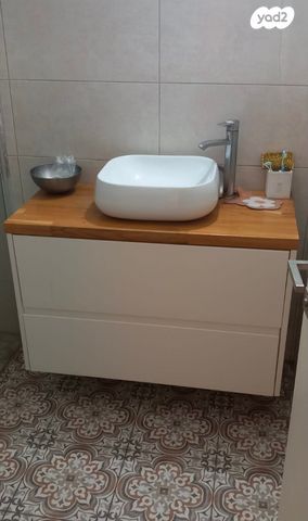 אריה בן אליעזר 