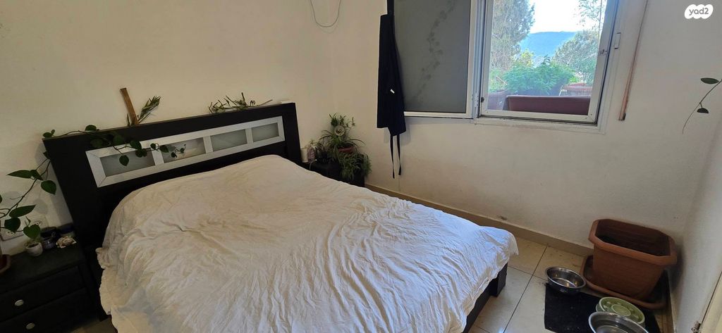 דירה, הפרחים, אשכול, כרמיאל