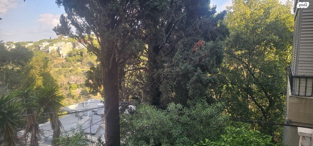 דירה, שושנת הכרמל, חיפה