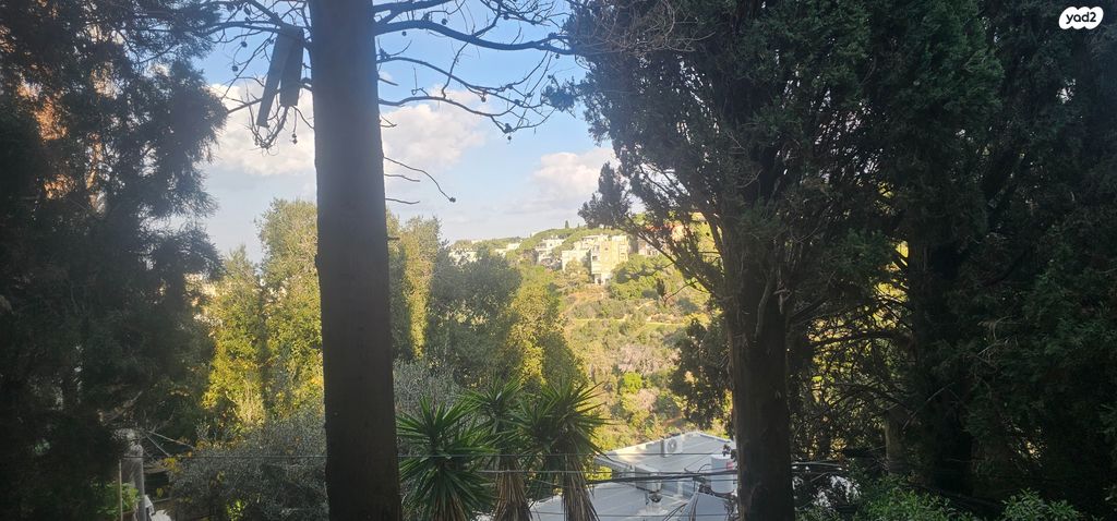 דירה, שושנת הכרמל, חיפה