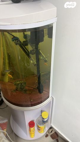 תמונת מודעה - חיות מחמד