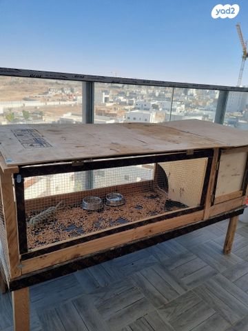 תמונת מודעה - חיות מחמד