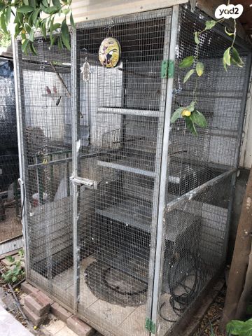 תמונת מודעה - חיות מחמד