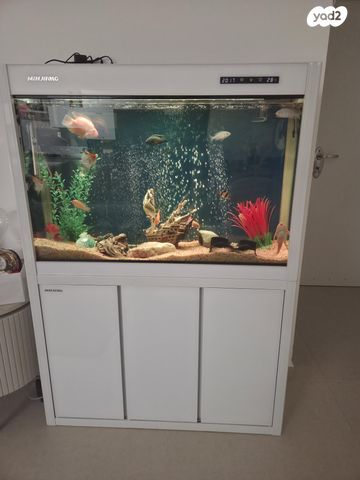 תמונת מודעה - חיות מחמד