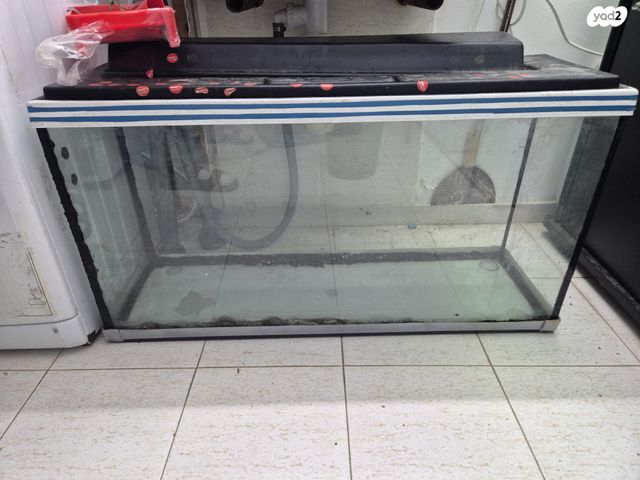 תמונת מודעה - חיות מחמד