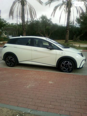 בי.ווי.די דולפין