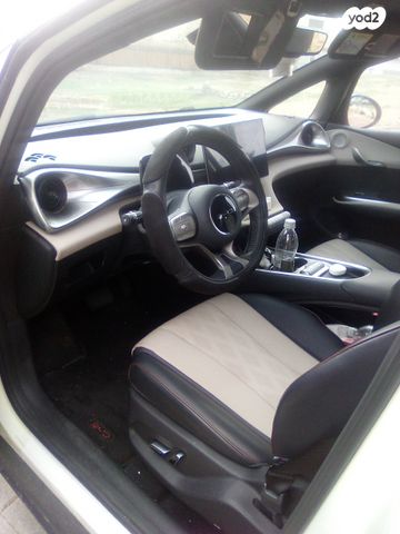 בי.ווי.די דולפין