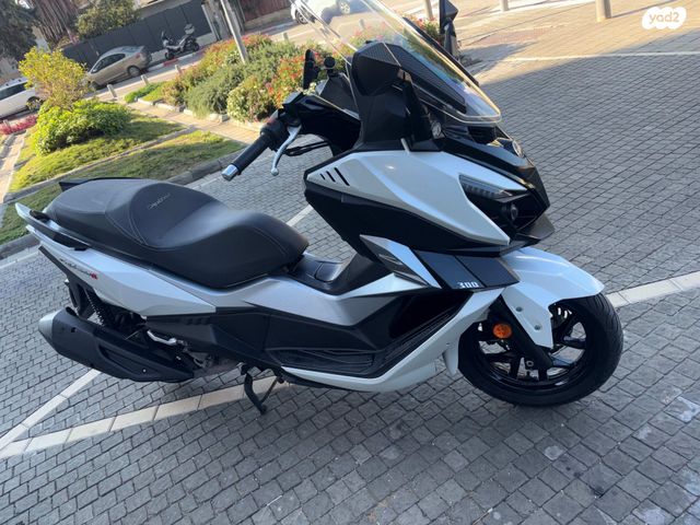 סאן יאנג קרוזים 300 אלפא