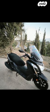 סאן יאנג ג'וי-מקס Z-250