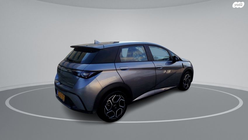 בי.ווי.די דולפין