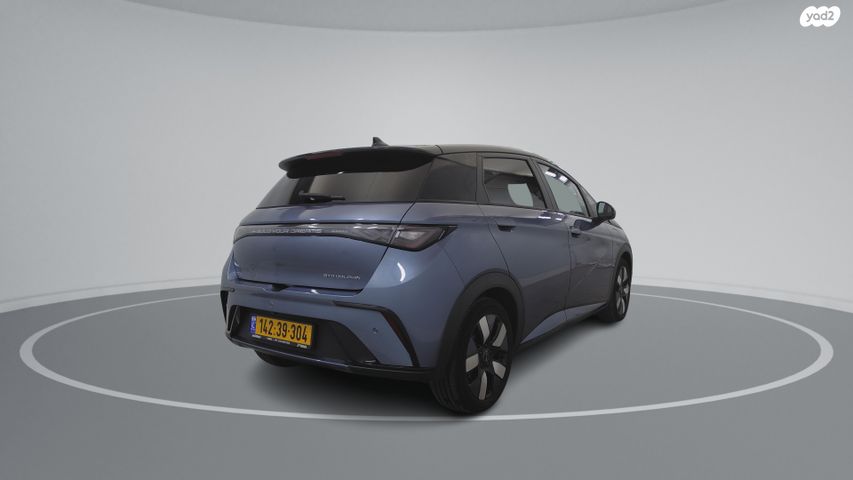 בי.ווי.די דולפין