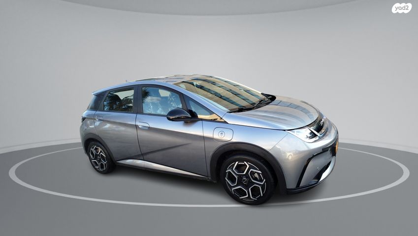 בי.ווי.די דולפין