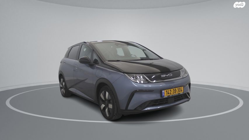 בי.ווי.די דולפין