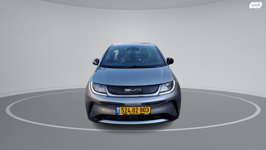 בי.ווי.די דולפין