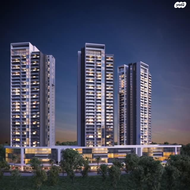 אליאשווילי 2