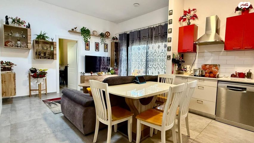 לובה אליאב 13