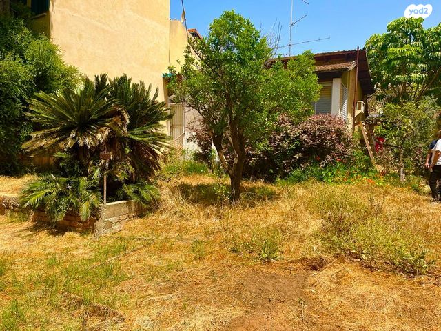 מנחם אבטיחי 119