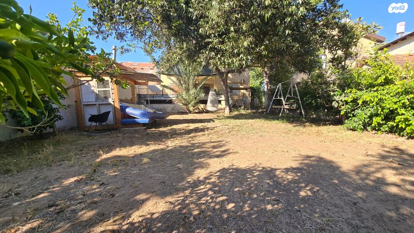 החשמונאים 24