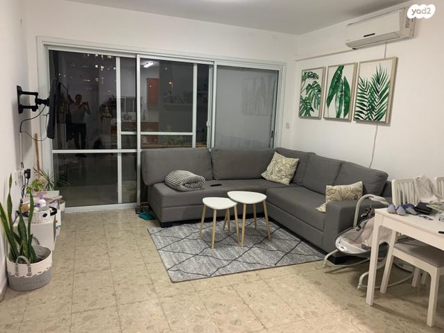 דוד וולפסון 4