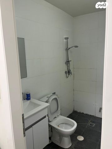 מסילת וולפסון 44