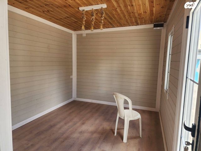 דוד אלעזר 42