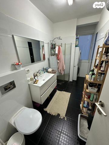 אריה שנקר 27