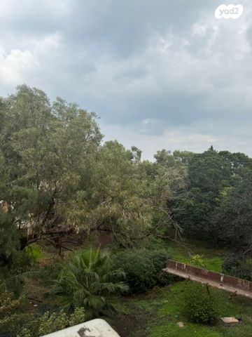 דירה, דרך אלנבי 84, קרית אליהו, חיפה