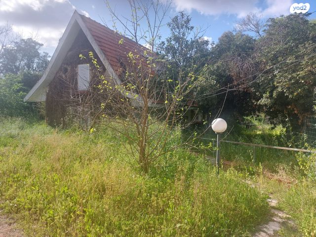 בית פרטי/ קוטג', הדקלים 175, מרכז פרדס חנה, פרדס חנה כרכור