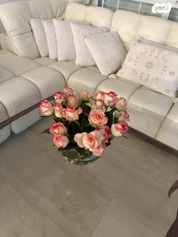 יחזקאל קוטשר 1