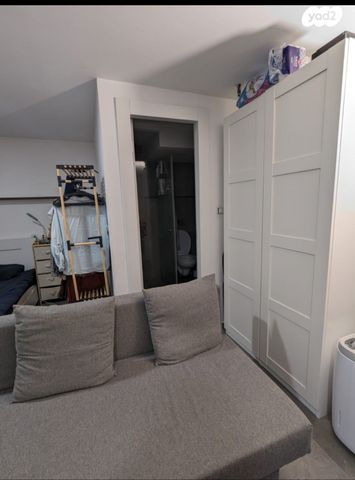 שמריהו לוין 39