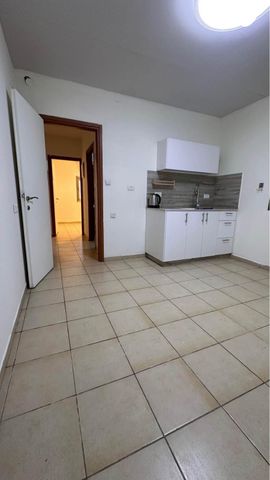 שבטי ישראל 13