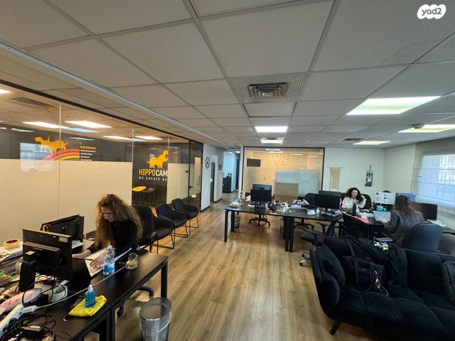 ברוך הירש 14