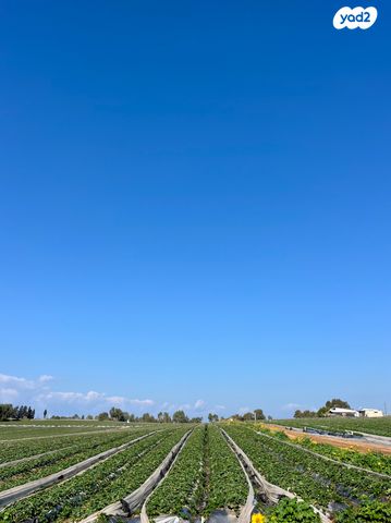 בית פרטי/ קוטג', שאר העיר, קדימה צורן