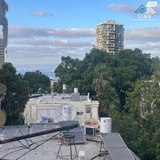 דירה, השלום, מסדה, חיפה