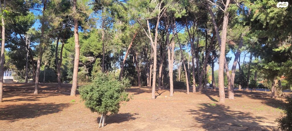 משק חקלאי/ נחלה, שדה ורבורג