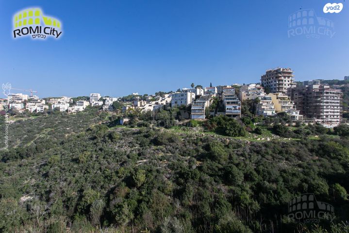 ראול ולנברג 8