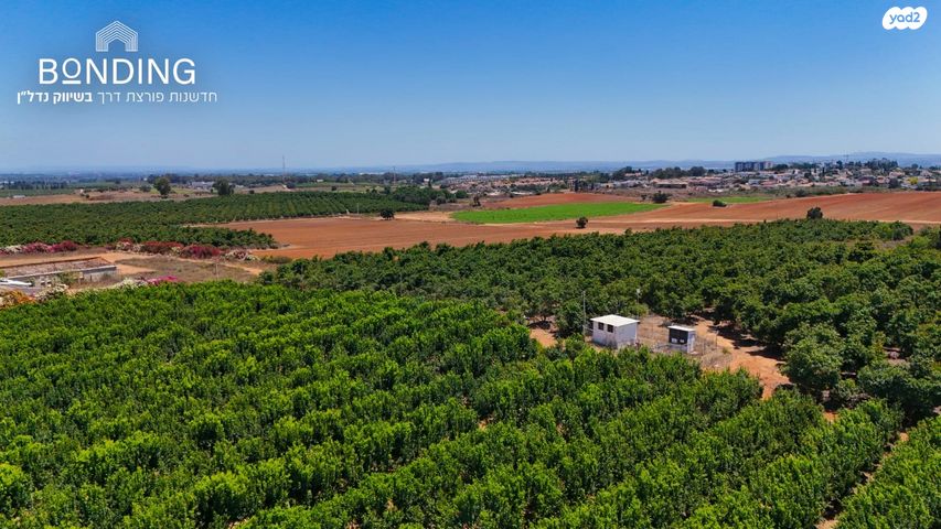 דירת גן, הארבל, פרדסיה