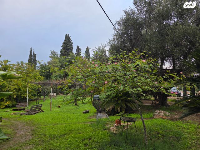 בית פרטי/ קוטג'