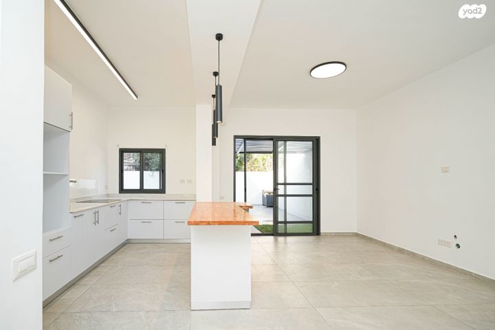 פרופסור שור 6