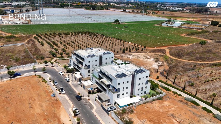 דירת גן, פרדסיה