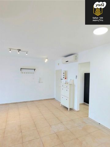 דירה, אלפי מנשה