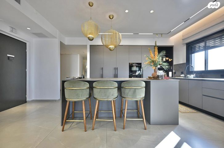 גג/ פנטהאוז, נרקיסים, ראשון לציון