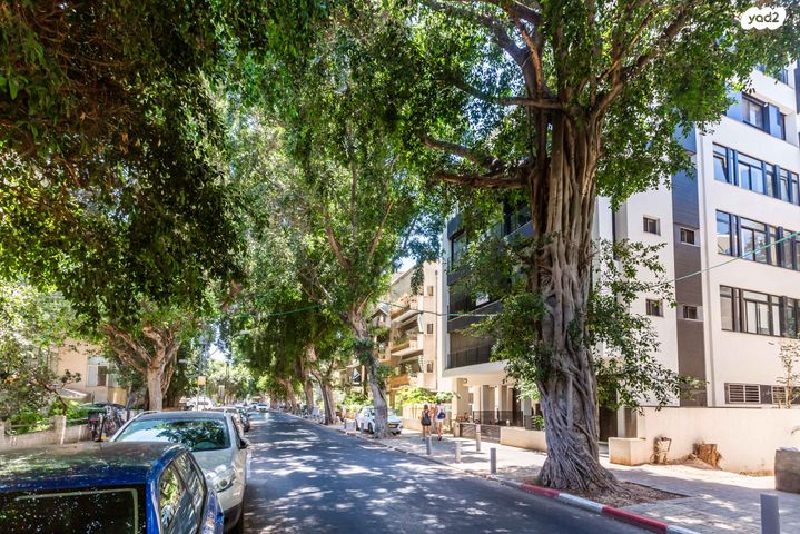 דירה, ריינס 45, הצפון הישן - דרום, תל אביב יפו