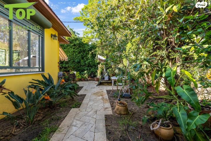 בית פרטי/ קוטג', רמז, מרכז מזרחי, נס ציונה