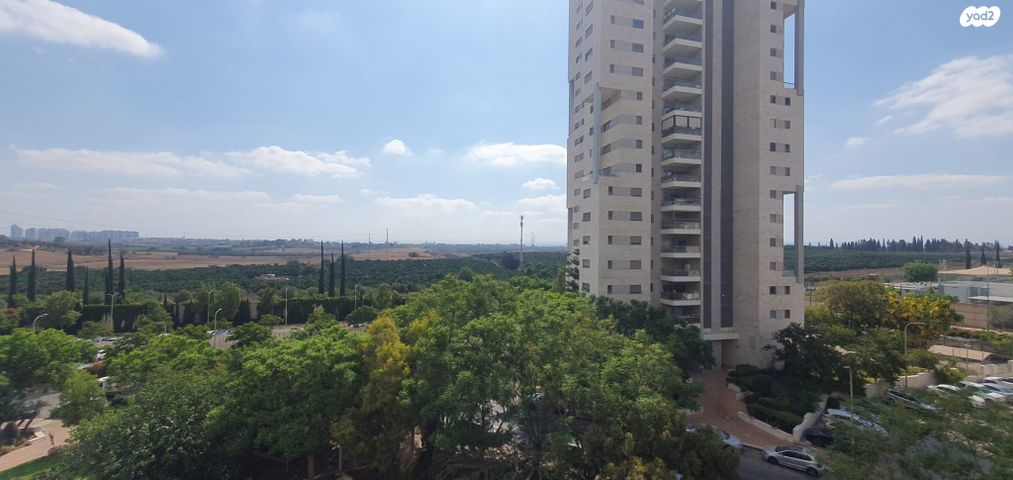 דירה, כרמל, אחוזת הנשיא, רחובות