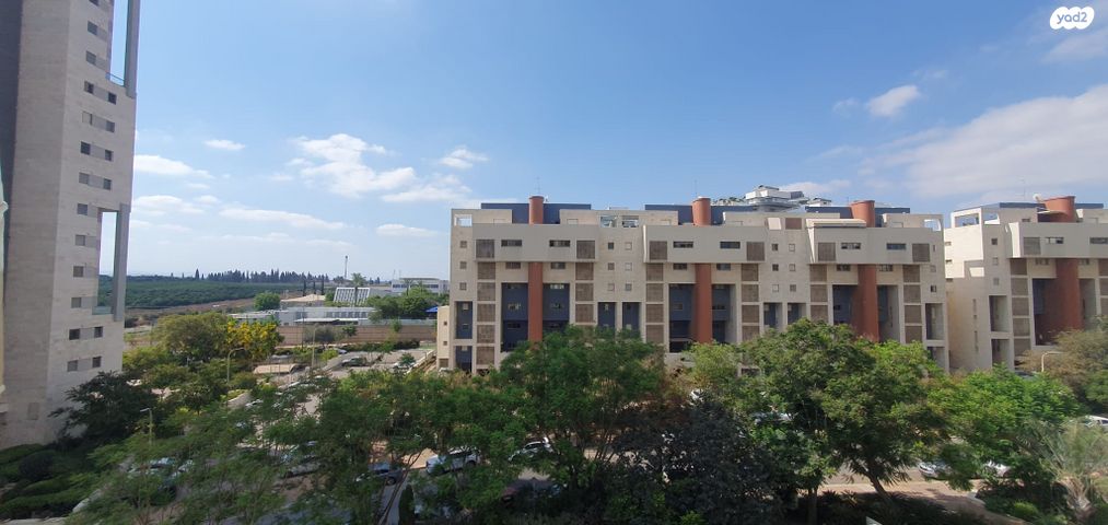 דירה, כרמל, אחוזת הנשיא, רחובות