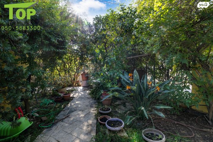 בית פרטי/ קוטג', רמז, מרכז מזרחי, נס ציונה