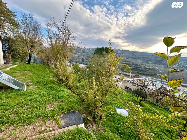 דו משפחתי, קדומים