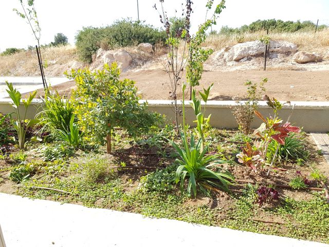 בית פרטי/ קוטג', אשל, לוזית