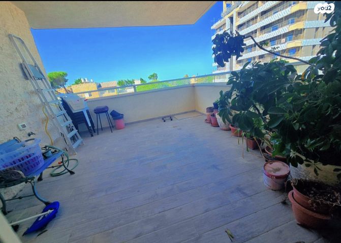 דירה, מגידו, מרכז הכרמל, חיפה